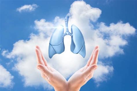 肺部的保养和养生方法中医