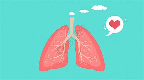 肺部的养生知识有哪些
