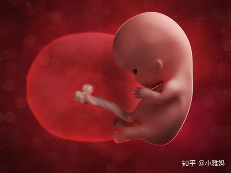 胎儿多大不算早产
