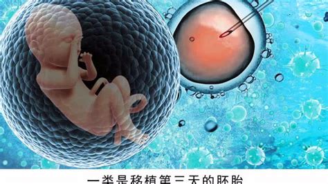 胚胎一般存活几天