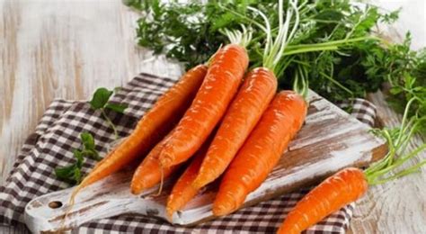 胡萝卜叶的功效与作用及食用方法