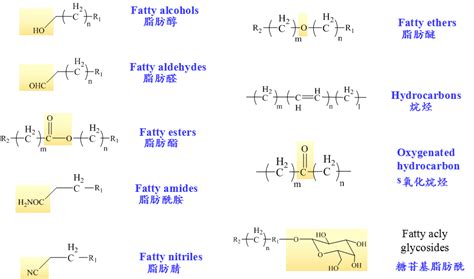 脂肪酸甲酯组份表