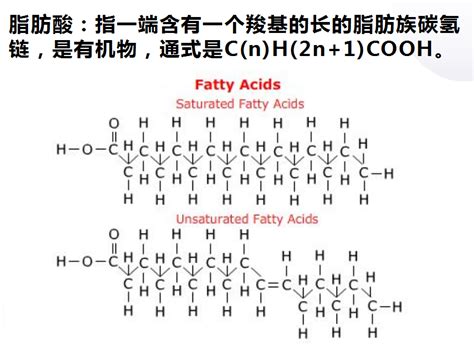 脂肪酸的结构单位
