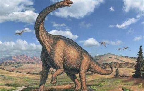 脖子最长的恐龙叫什么龙