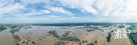 航拍洪水中的长江沿岸视频