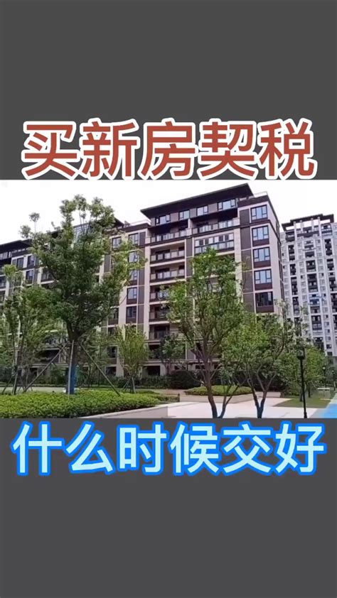 芜湖买新房什么时候交契税