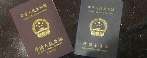 芜湖外国人就业证