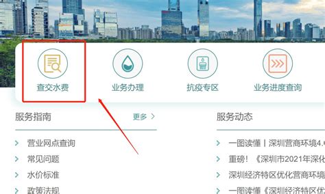 芜湖市怎么能查到自家水费