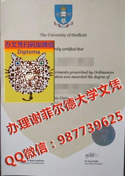 英国毕业证网上认证