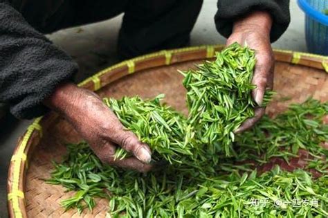 茶叶行业软文推广方案