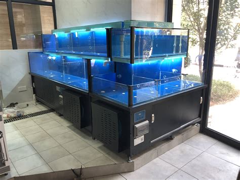 荆州专业做海鲜池鱼缸