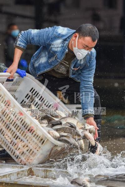 荆州市渔网批发市场