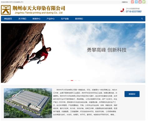 荆州网站设计需求公司