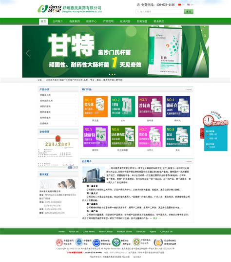 莆田网站建设推广服务公司