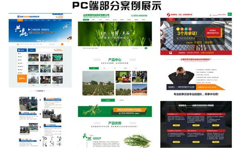 菏泽公司网站建设推广服务