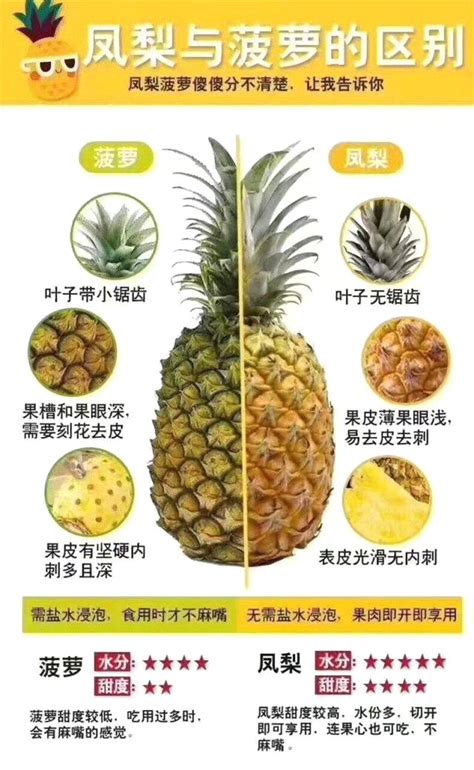 菠萝和凤梨的区别在哪里