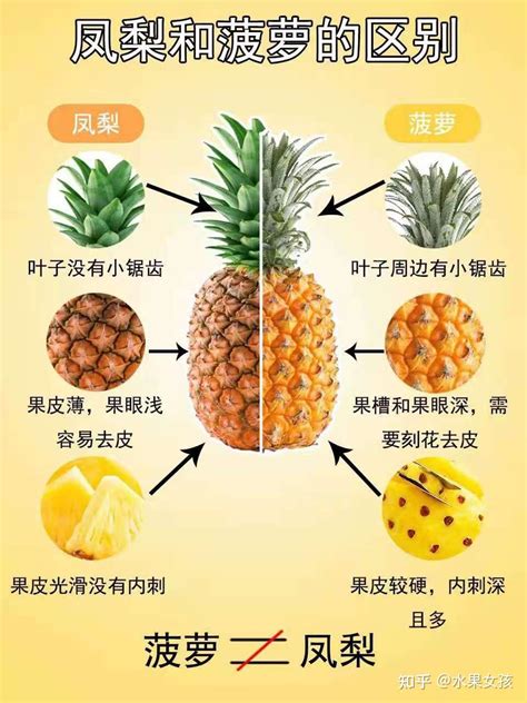 菠萝和凤梨的营养区别