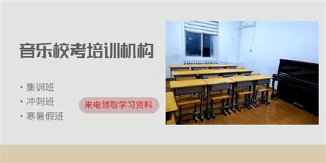 萍乡专业艺考培训排名