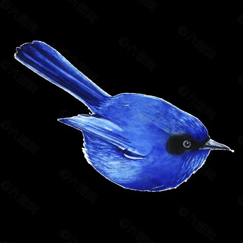 蓝色小鸟装饰