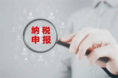 蓬江公司报税推荐