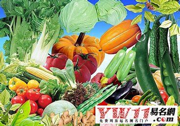 蔬菜公司起名大全华开头