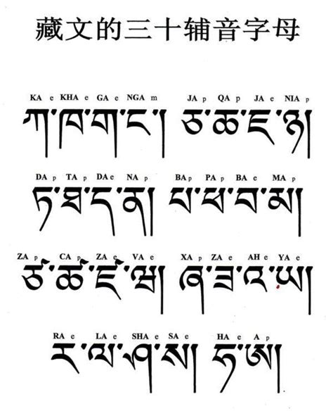 藏文作文藏语版