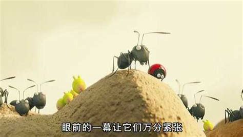 蚂蚁大战红蚁