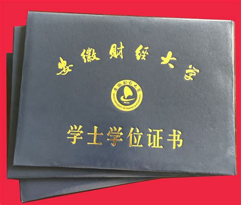 蚌埠市大学生证书