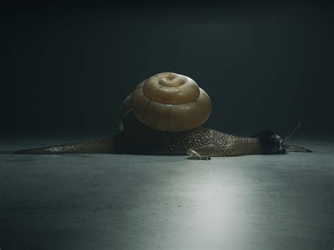 蜗牛人真的存在吗