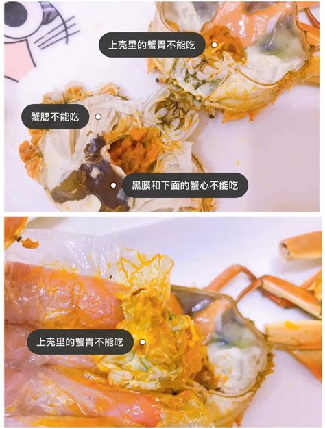 螃蟹哪里不能吃