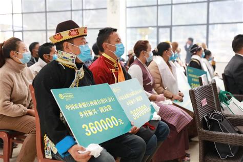 西藏农行车贷30万