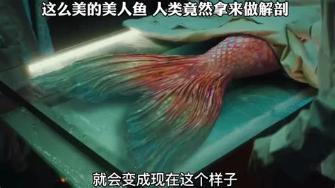 解剖美人鱼成功视频