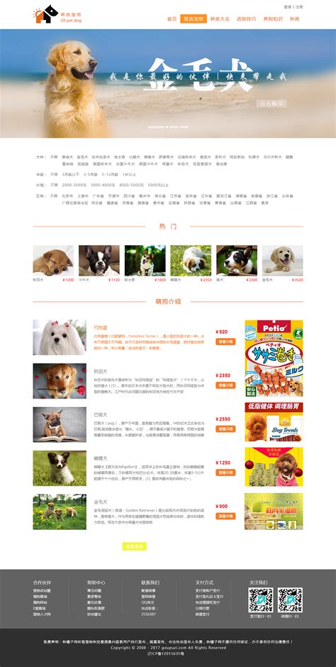 设计狗的网站哪个好