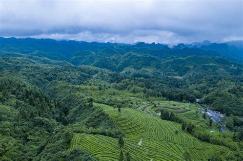 贵州高原蓝生态农业开发有限公司