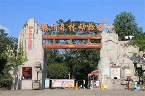 赣州森林动物园熊猫馆