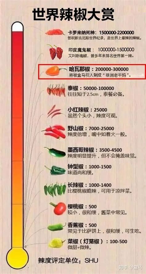辣椒种植量排名