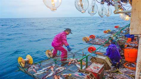 远洋渔业供应