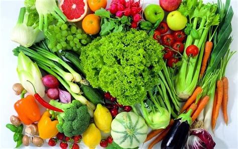 适合冬天室外种植的蔬菜