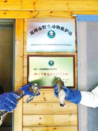 郑州市野生动物救护站