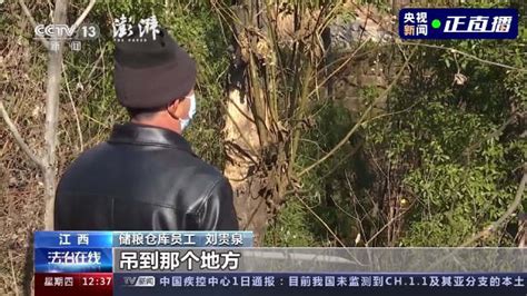 采访粮库人员发现胡鑫宇的视频