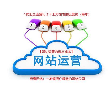 重庆低成本网站建设代运营