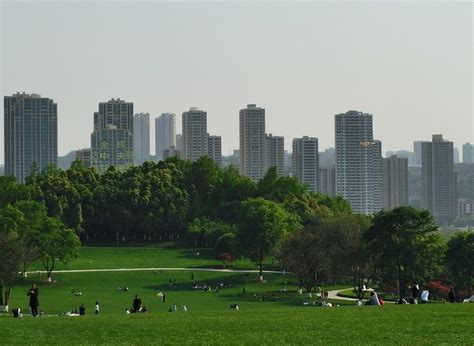 重庆哪个公园适合拍照