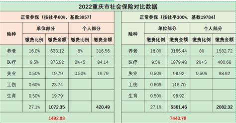 重庆工资统计表