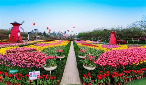 重庆花卉网站建设价格