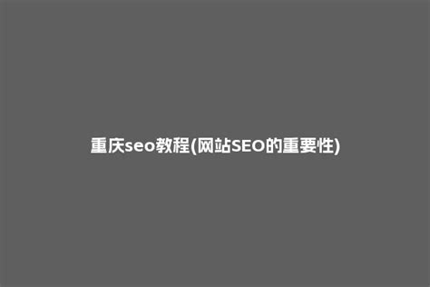 重庆seo教程视频软件