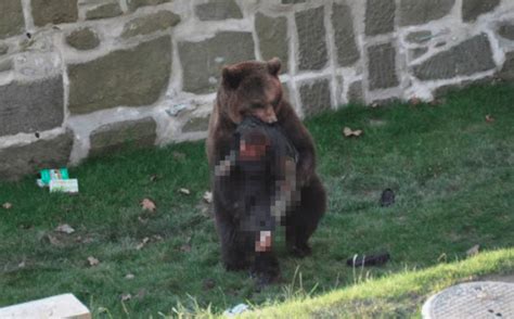 野生动物保护者被熊咬死
