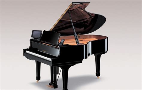 钢琴是属于什么乐器