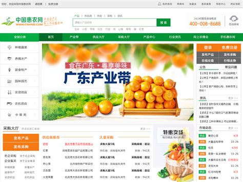银川农产品网站推广电话