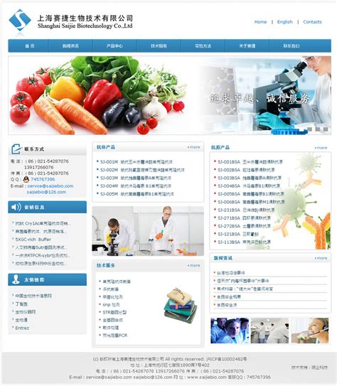 闵行网站建设优化技术