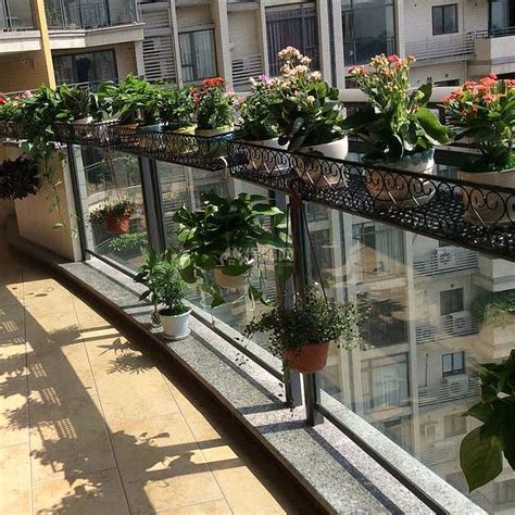 阳台的玻璃花盆怎么养花